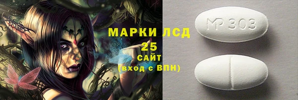 ECSTASY Алзамай