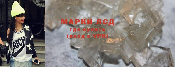 ECSTASY Алзамай