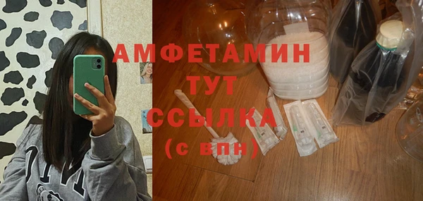 ECSTASY Алзамай